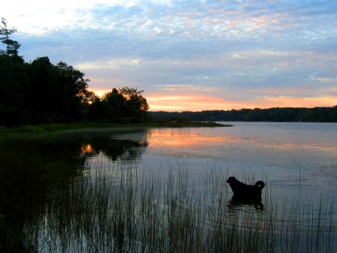 Nero at Duck Lake, September 2, 2006