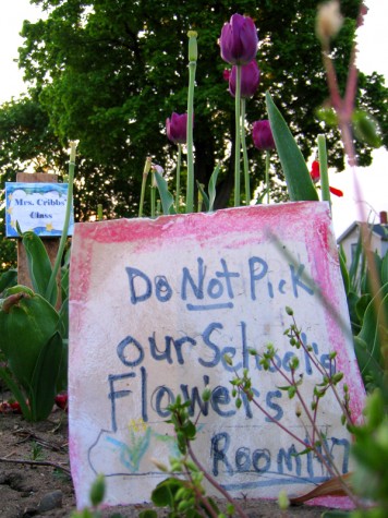 An admonition from the gardeners at Isabella and Terrace on May 20, 2008