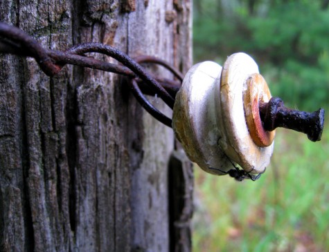 A spider inspects an old isolation spindle near a horse farm on Lakewood Road in Fruitland Township.