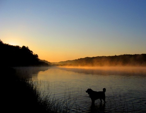 Nero seems to be watching the sun burn the morning fog off of Muskegon County's Duck Lake on July 6, 2007