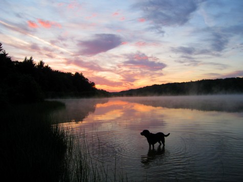 Chris swimming in Muskegon County\'s Duck Lake on July 4, 2008