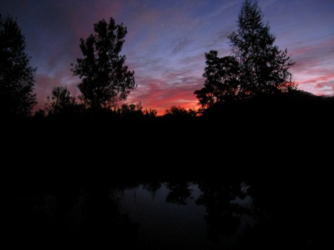 The morning sun appears over one of the old ponds that line Muskegon's Lakeshore Bike Trail.