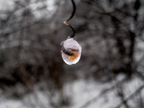 This icy drop was part of the scenery next to Ruddiman Pond on Sunday morning.