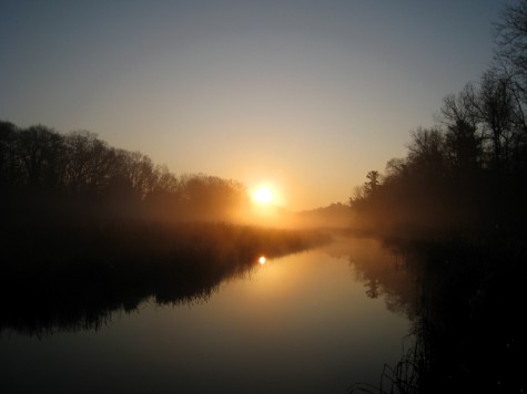 Ruddiman creek, November 22, 2009