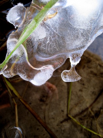 An ice formation on the Muskegon River