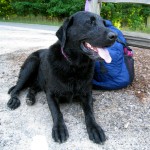 Chris at White Duck Market awaiting treat purchase