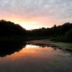 Muskegon's Ruddiman Pond, August 4, 2011