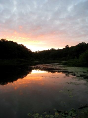 Muskegon's Ruddiman Pond, August 4, 2011