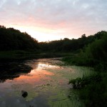 Morning's sunrise over Muskegon's Ruddiman Pond.