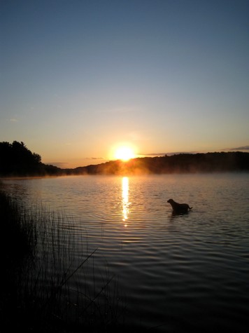 Chris swimming at Muskegon County's Duck Lake State Park