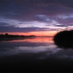 Muskegon River, October 28, 2011