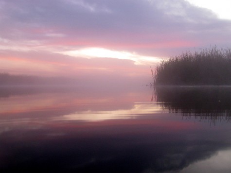 Muskegon River, October 10, 2011