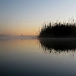 Muskegon River, November 5, 2011