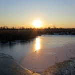 The Muskegon River on Wednesday morning.