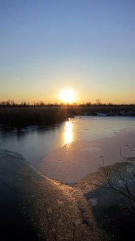 The Muskegon River on Wednesday morning.