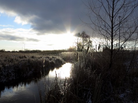 Muskegon River, February 11, 2012