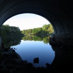 Ruddiman Lagoon beneath the Lakeshore bridge, May 10, 2012