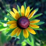 Lakeshore Bike Trail, June 22, 2012