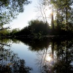 Seattle Arboretum, August 17, 2012