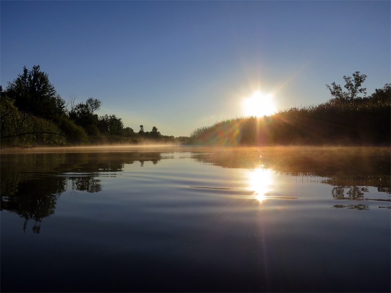 Muskegon River, August 10, 2013