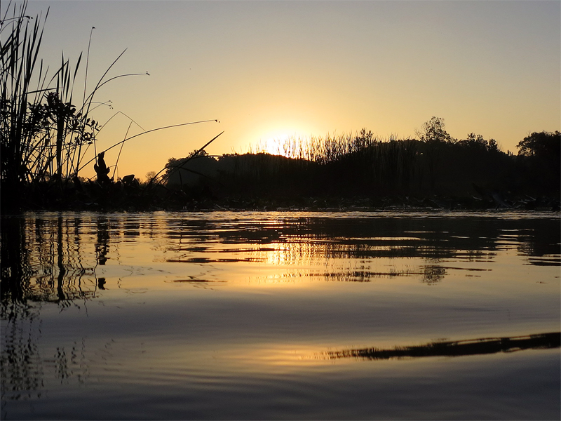 Muskegon River, September 28, 2013