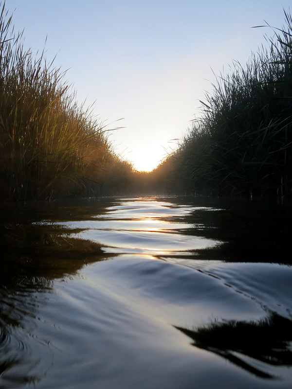 Muskegon River, August 13, 2013