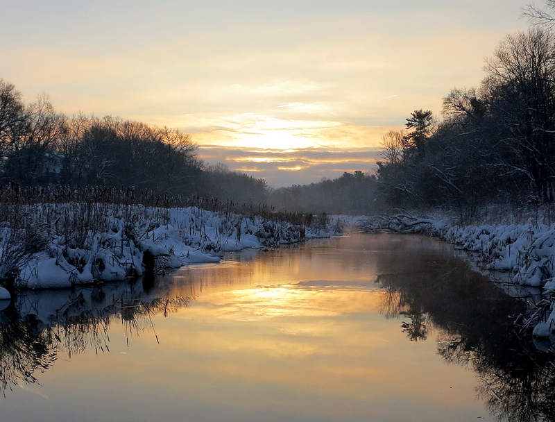 Ruddiman Creek, December 27, 2013