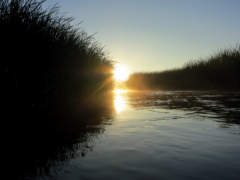 Muskegon River, July 13, 2014