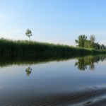 Muskegon River, June 28, 2014