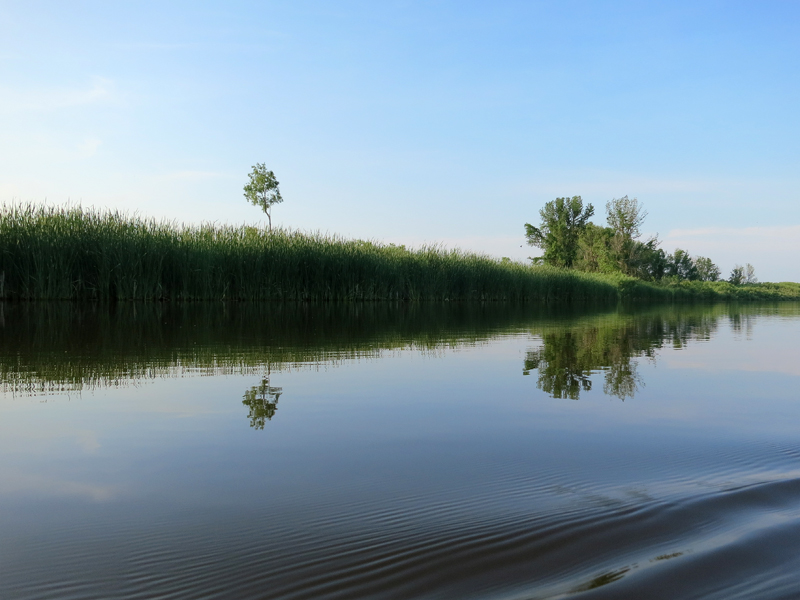 Muskegon River, June 28, 2014