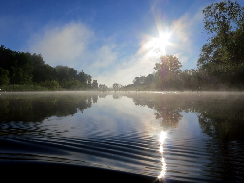 Spring Creek, July 4, 2014