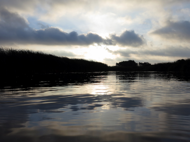 Muskegon River, September 1, 2014