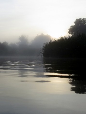 Muskegon River, September 2, 2014