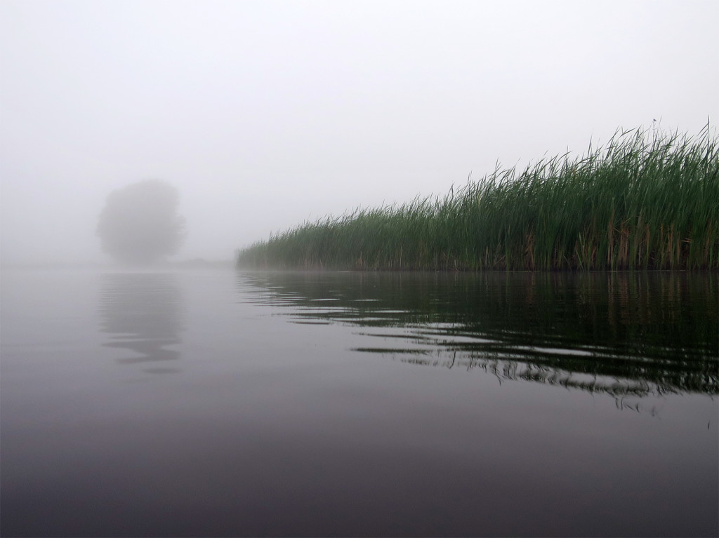 Muskegon River, June 9, 2015