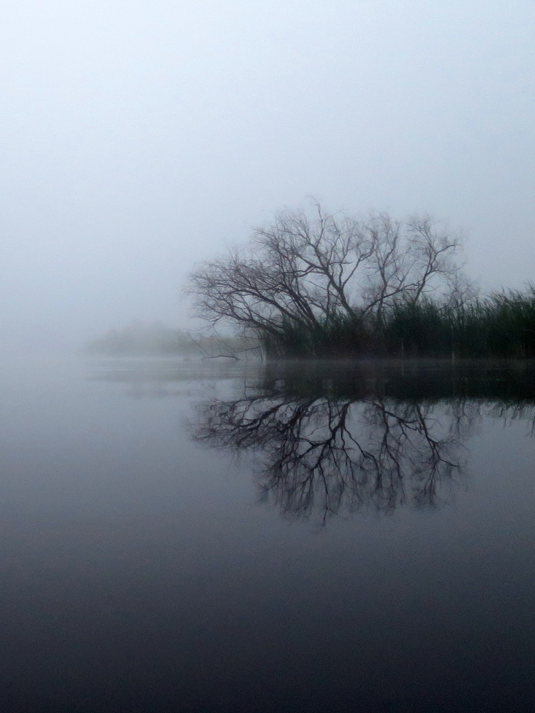 Muskegon River, June 9, 2015