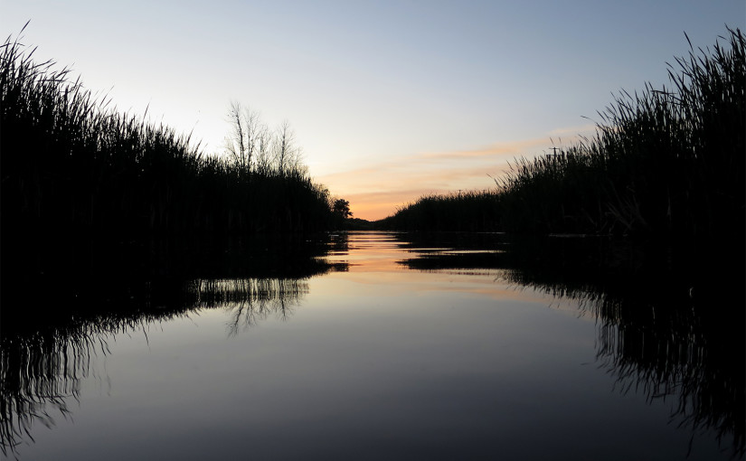 Muskegon River, June 23, 2015