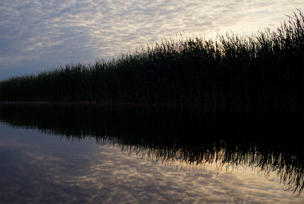 Muskegon River, August 22, 2015