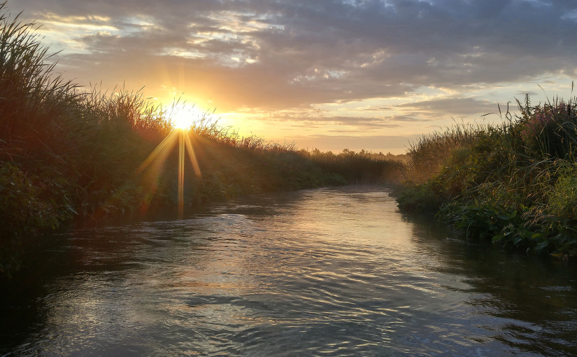 Muskegon River, August 13, 2015