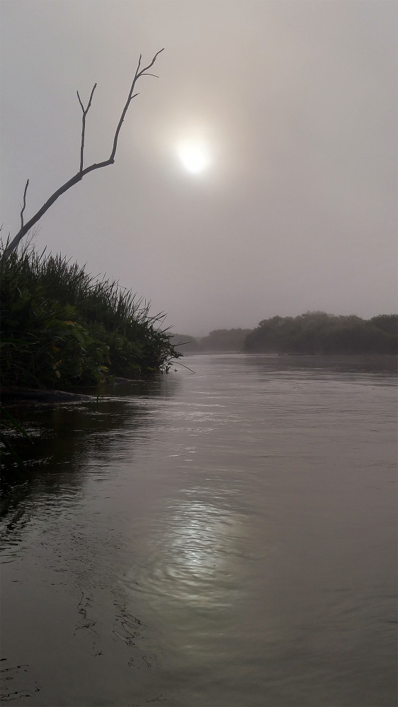 Muskegon River 2, August 15, 2015