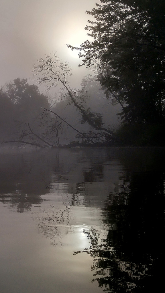 Muskegon River 3, August 15, 2015