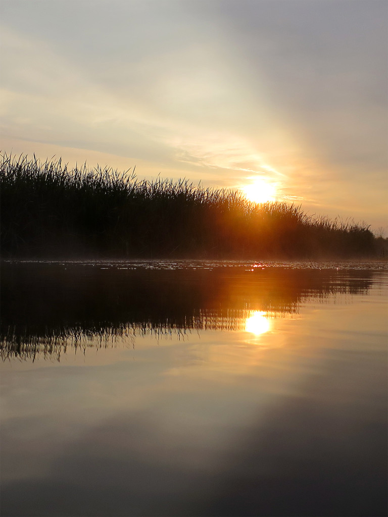 Muskegon River 4, July 8, 2015