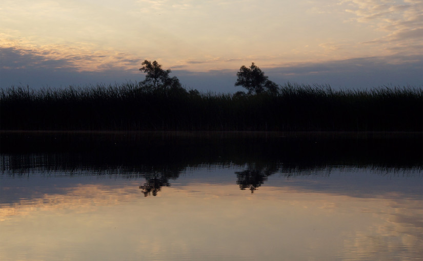 Muskegon River, August 22, 2015