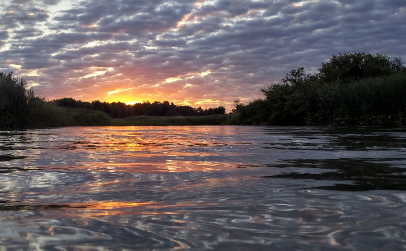 Muskegon River, August 24, 2015