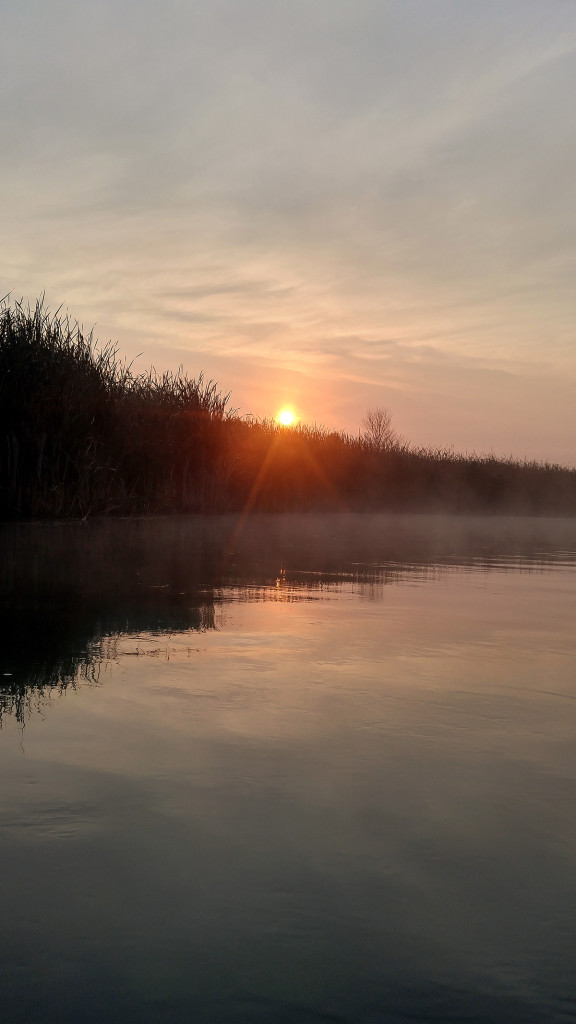 Muskegon River, August 28, 2015