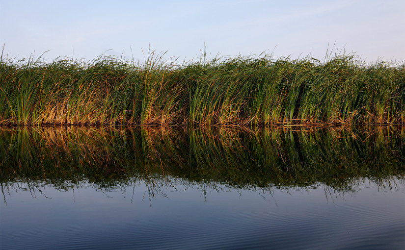 Muskegon River, August 28, 2015