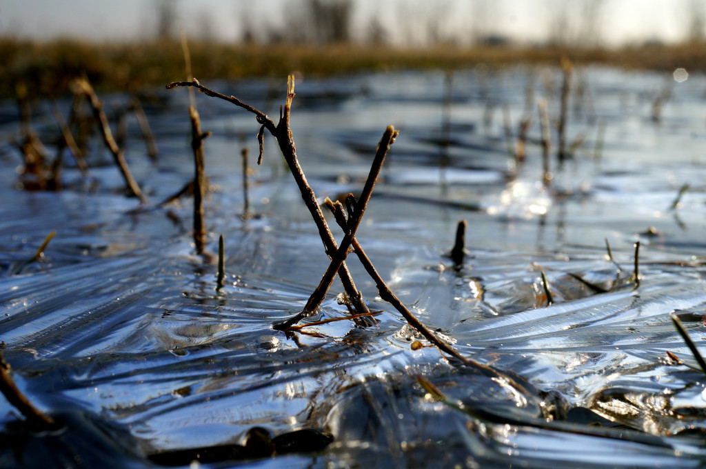 Lake Shore Ice, March 26, 2016