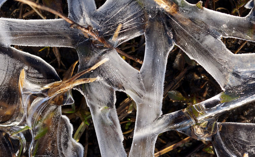 Lake Shore Ice, March 26, 2016