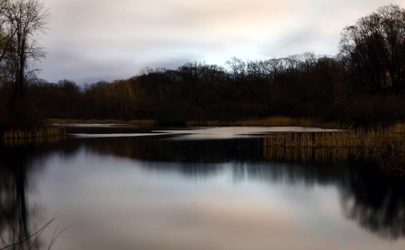 Ryerson Creek, April 7, 2016