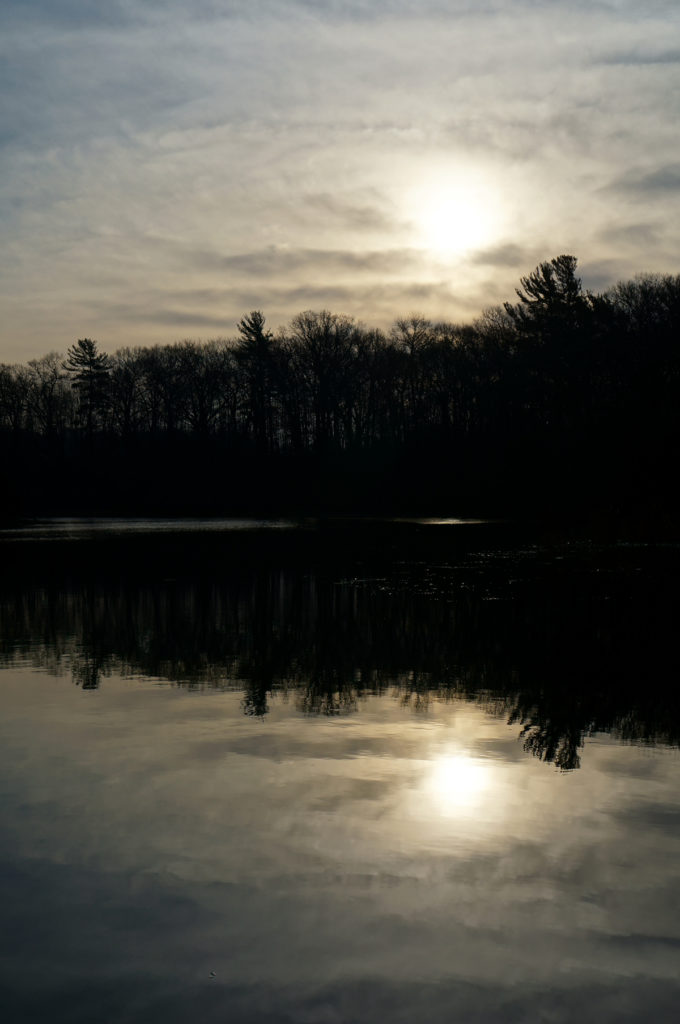 Ruddiman pond, April 11, 2016