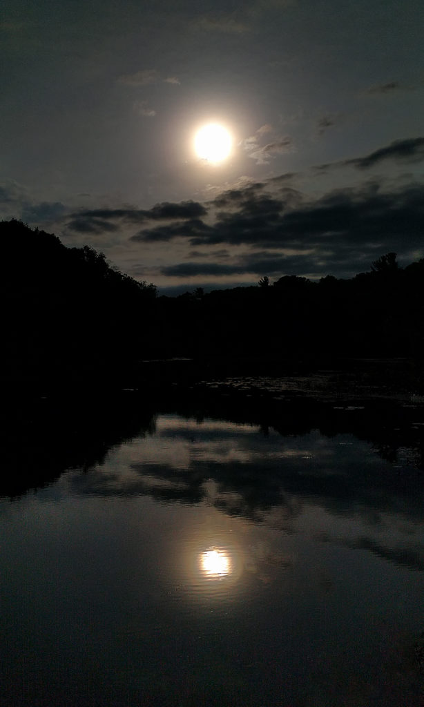 Ruddiman Lagoon, June 10, 2016.jpg